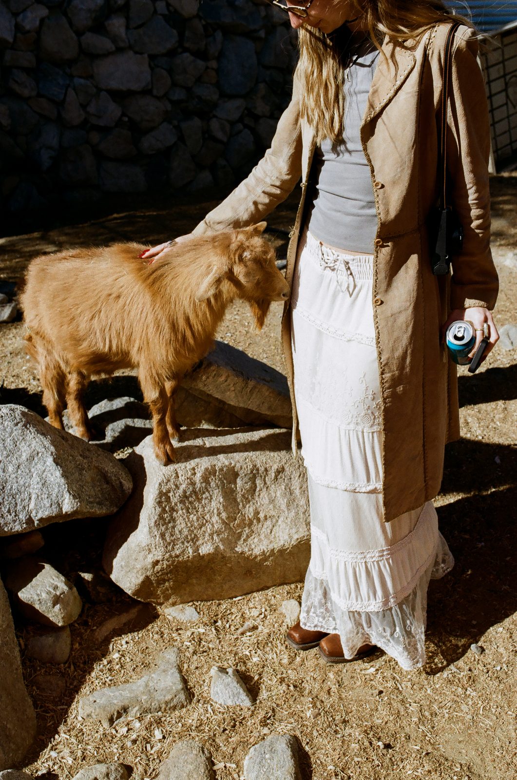 Reaching down the rocks to hand feed a goat in the late afternoon