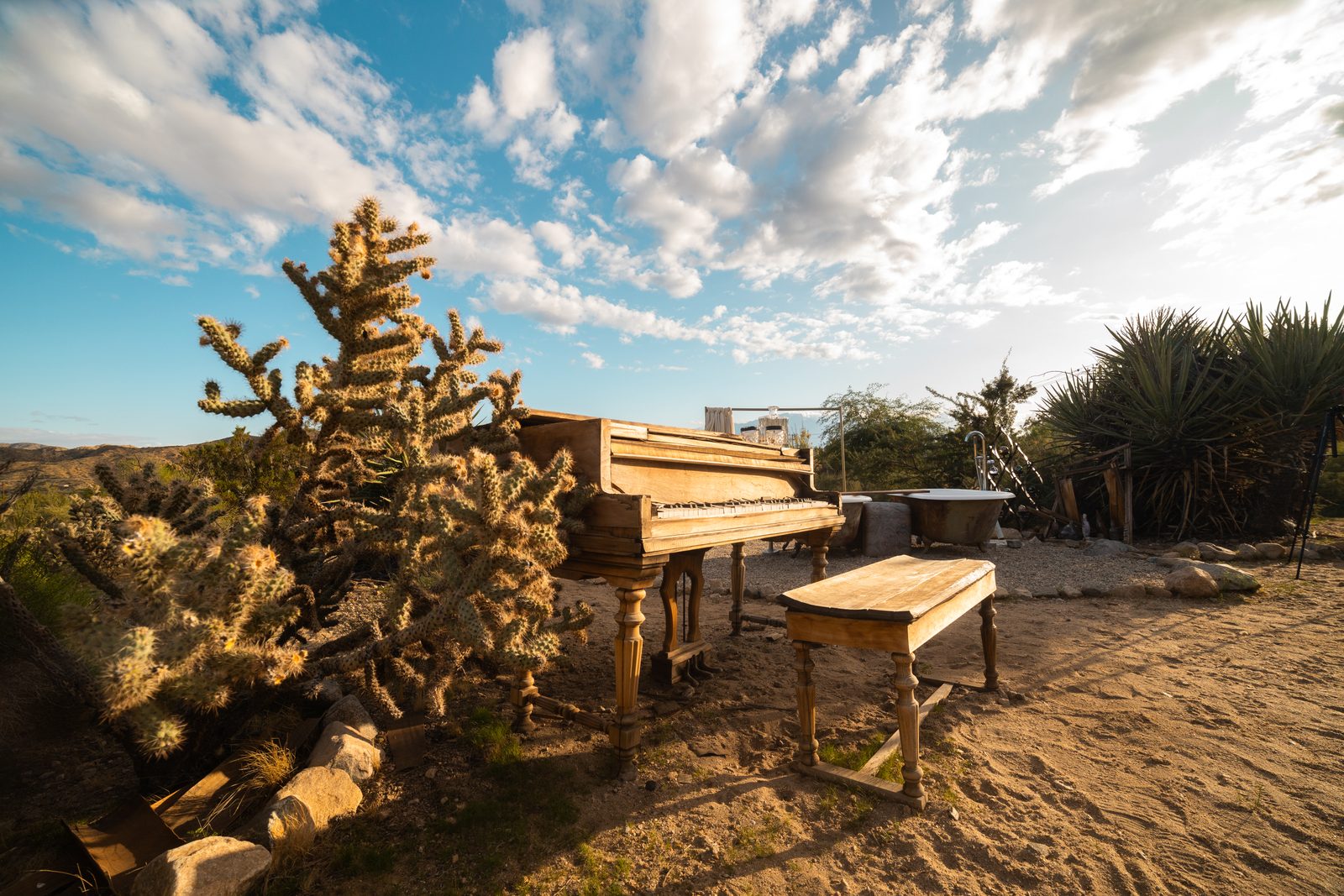 The long outdoor tables set out under a big sky with cholla cactus catching the light