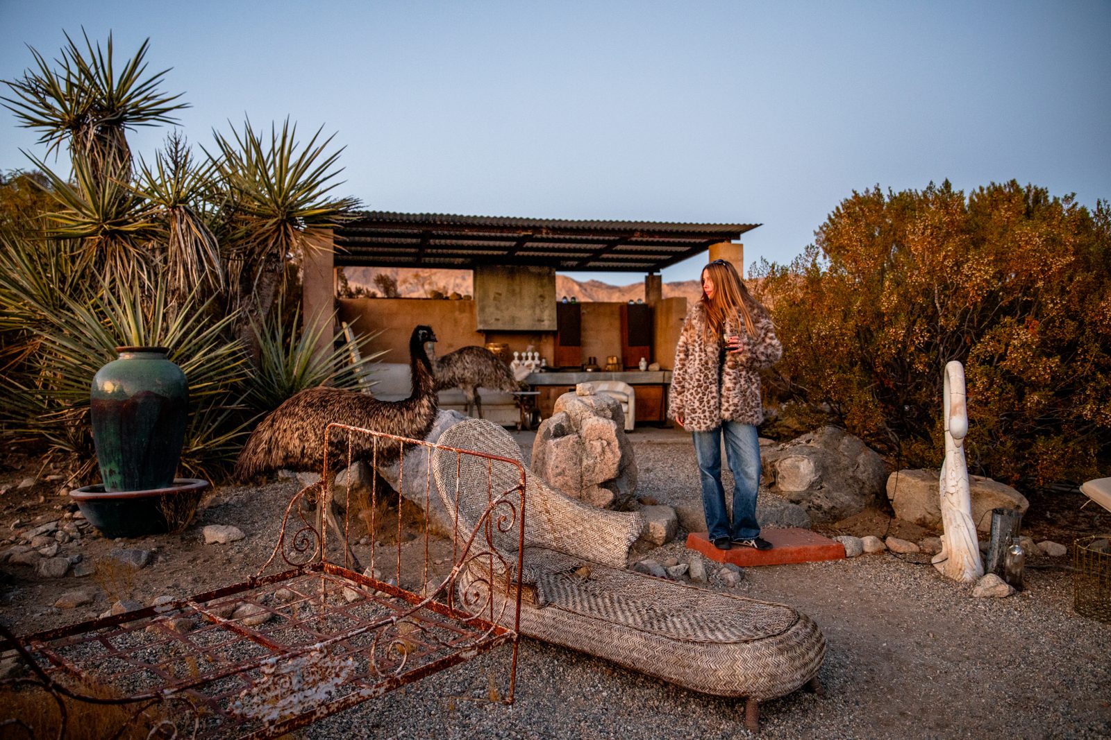 A guest among the emus at the outdoor kitchen at dusk