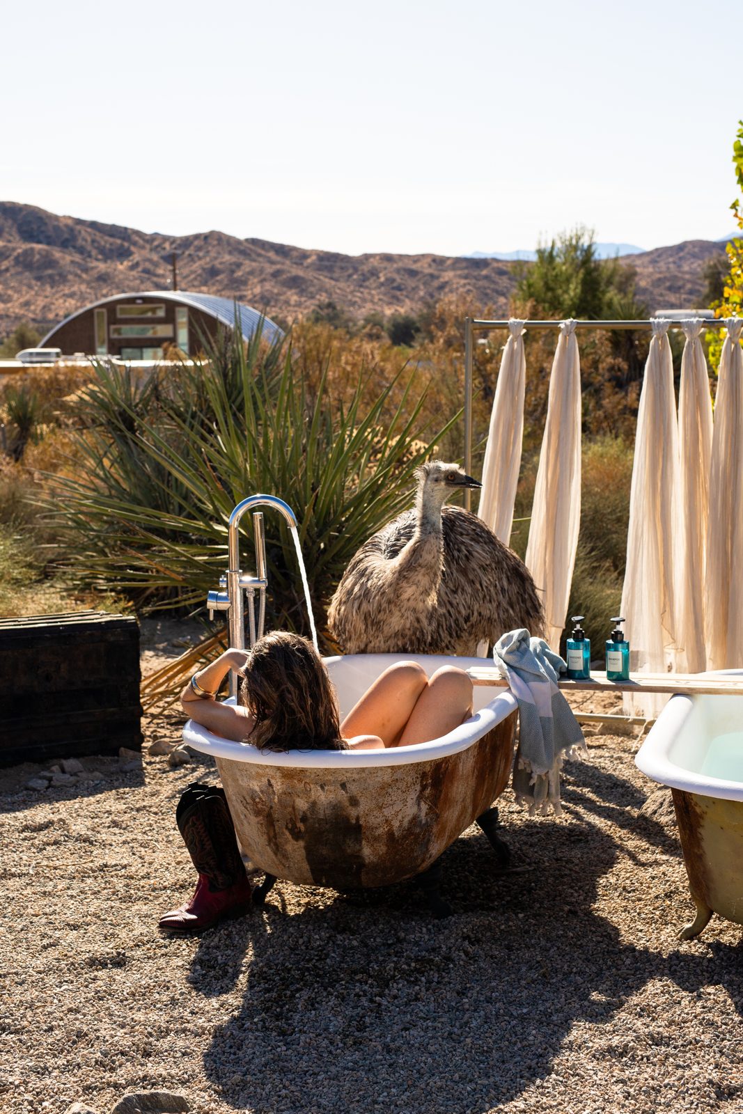 A guest soaking in the outdoor bath while an emu leans in to say hello