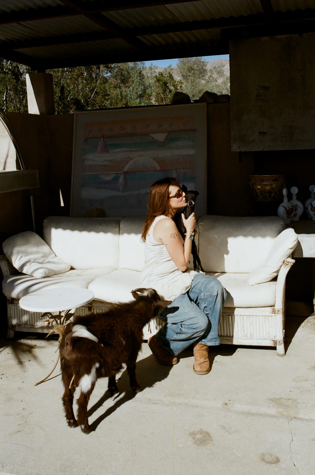 A guest on the patio sofa making friends with a baby goat