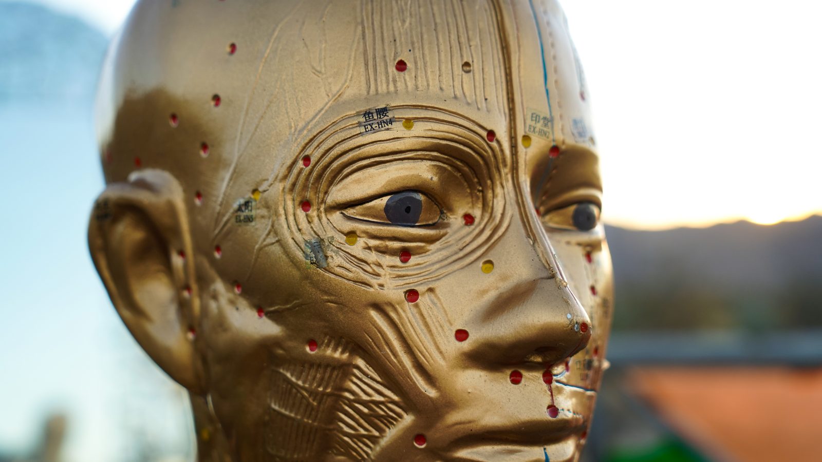 A close look at the golden acupuncture figure, its mapped face catching the last light of day