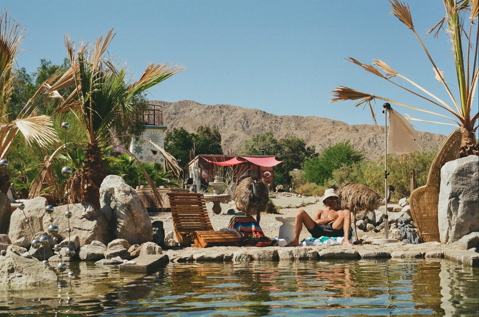 Guests lounging at the natural pool among the palms