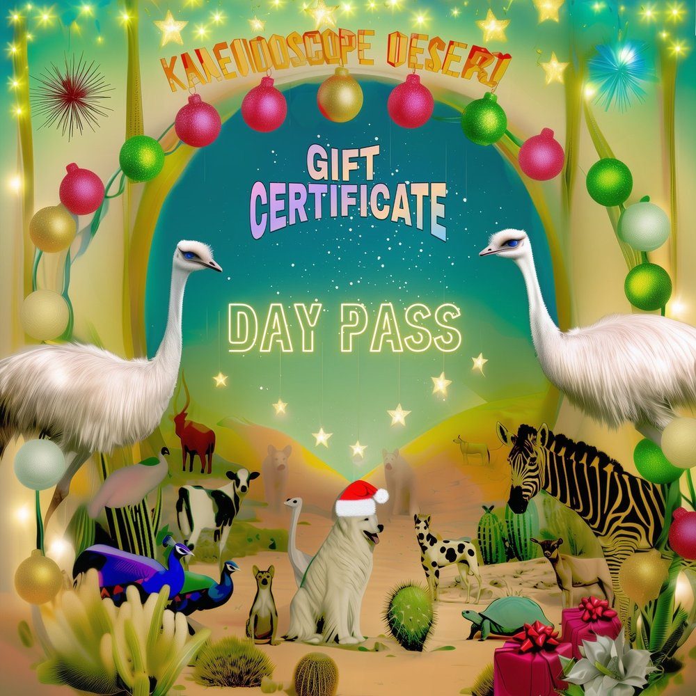 Day Pass