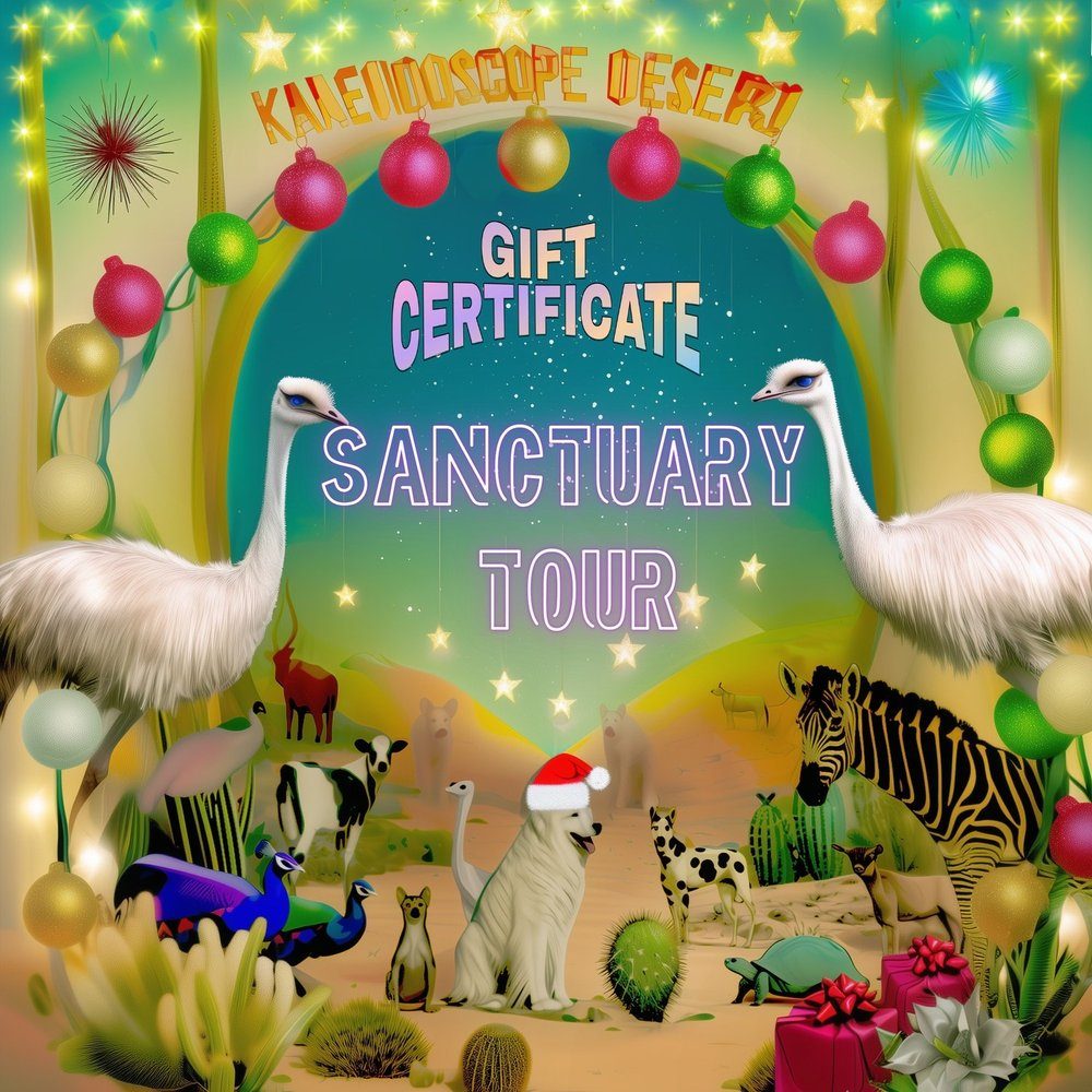 Sanctuary Tour