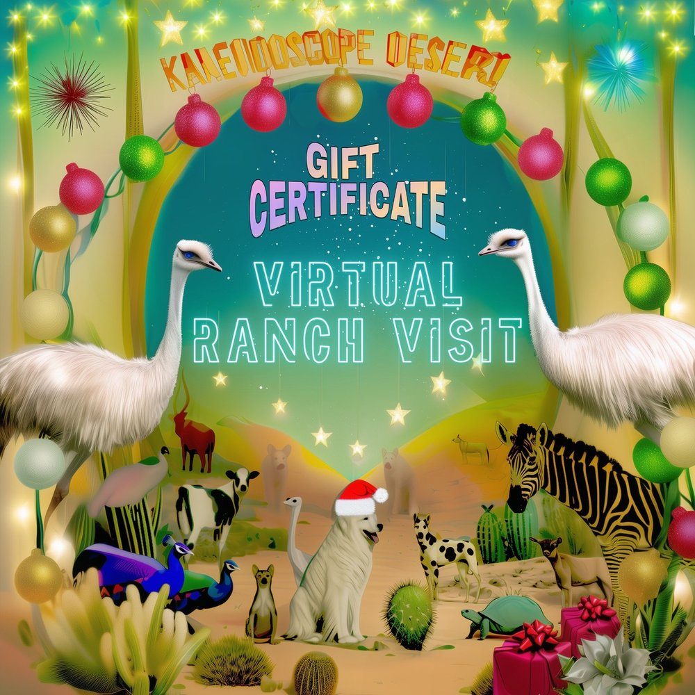 Virtual Visit